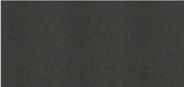 W1001-1